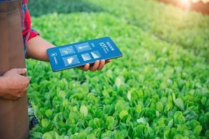 Custom Agriculture Software